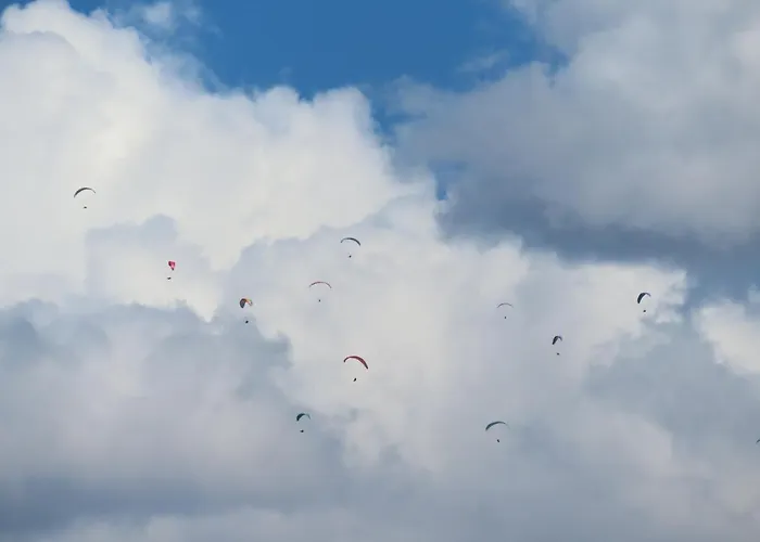 El Balcon De Canarias